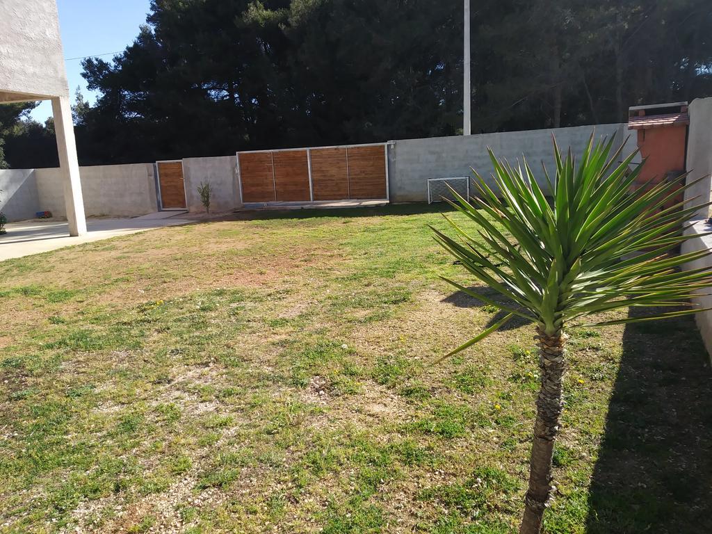 Apartman Toni Bibinje Buitenkant foto